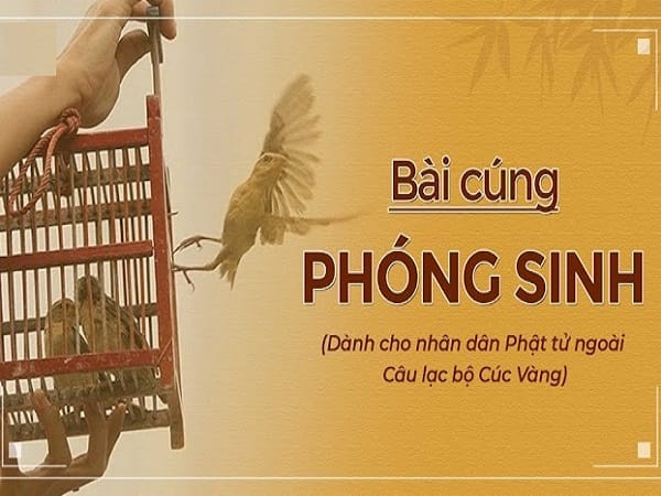 Văn khấn phóng sinh đơn giản đầy đủ, chuẩn nhất