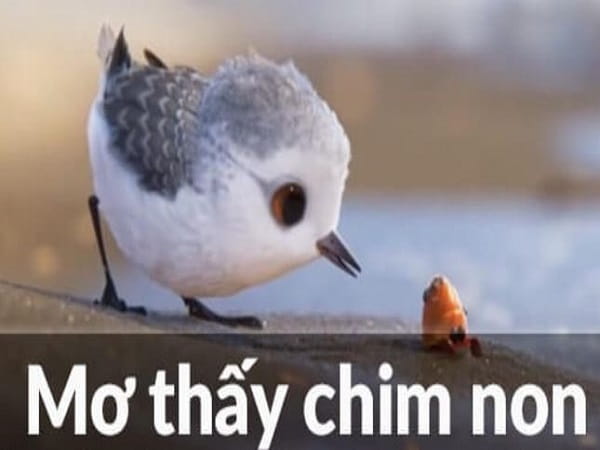 Nằm mơ thấy chim non có ý nghĩa gì?