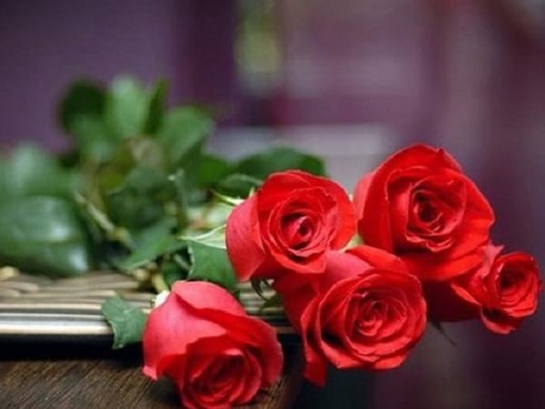 Nằm mơ thấy hoa hồng đỏ có ý nghĩa gì, số gì may mắn?